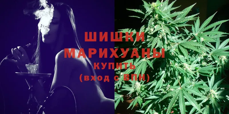 Бошки марихуана THC 21%  цены наркотик  Верхотурье 